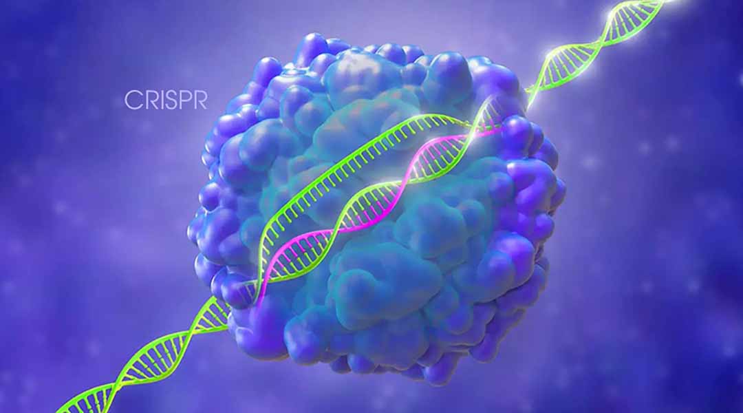 CRISPR công nghệ chỉnh sửa gen lần đầu tiên ở người