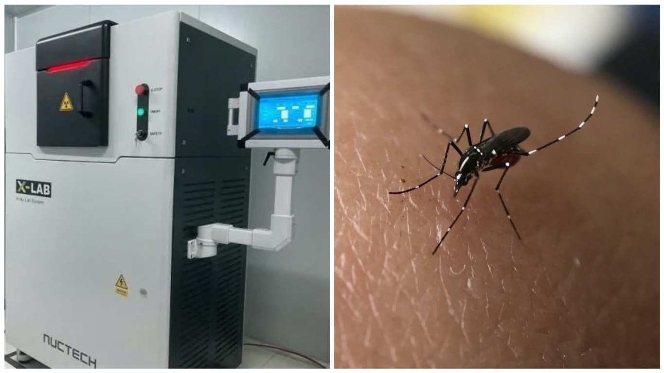 Công nghệ hạt nhân giúp diệt muỗi ở Trung Quốc
